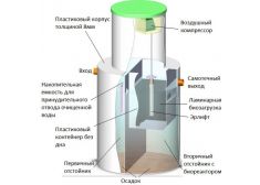 Панда Нала 0.8